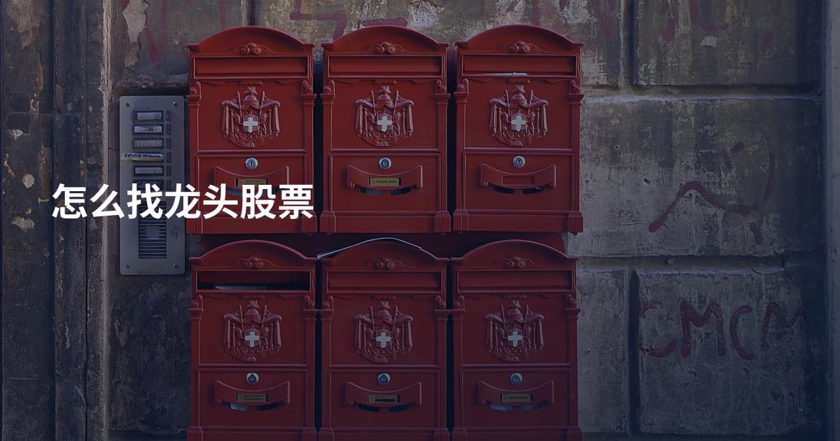 怎么找龙头股票