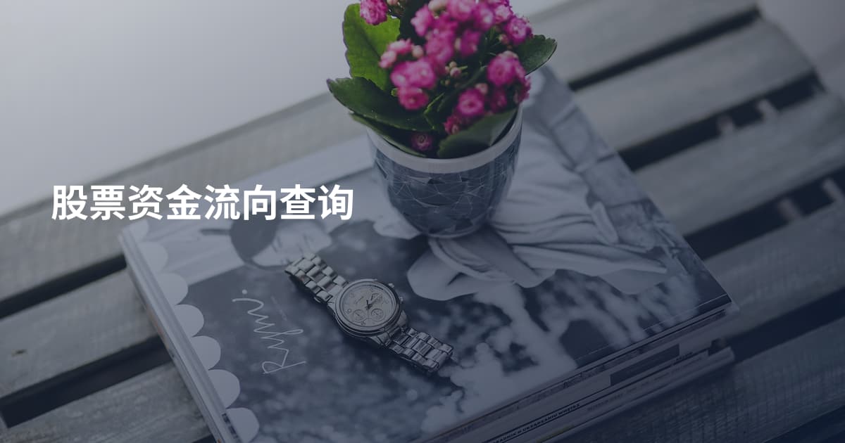 股票资金流向查询