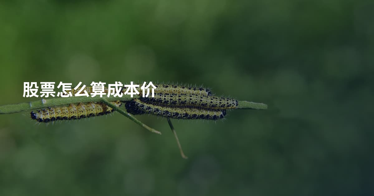 股票怎么算成本价