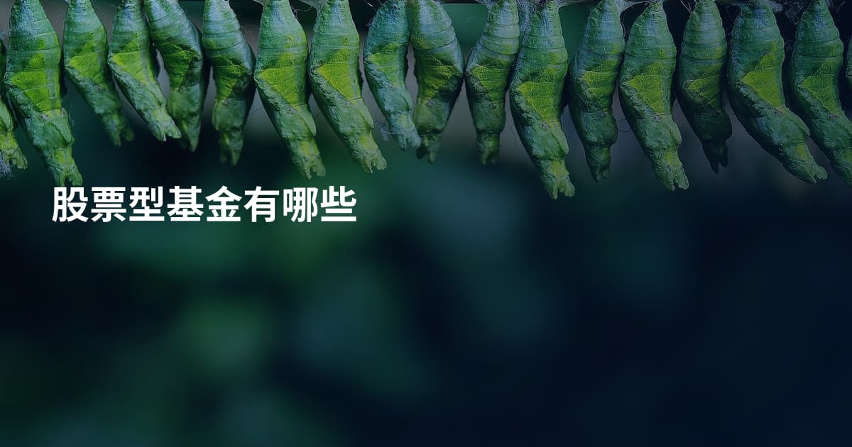 股票型基金有哪些