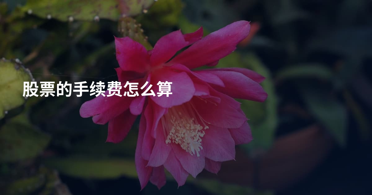 股票的手续费怎么算