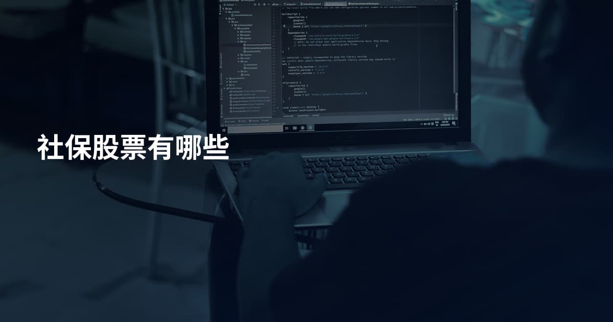 社保股票有哪些