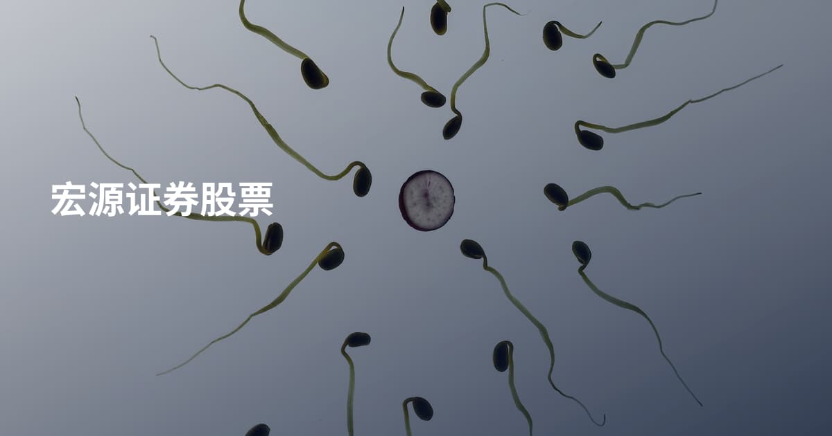 宏源证券股票