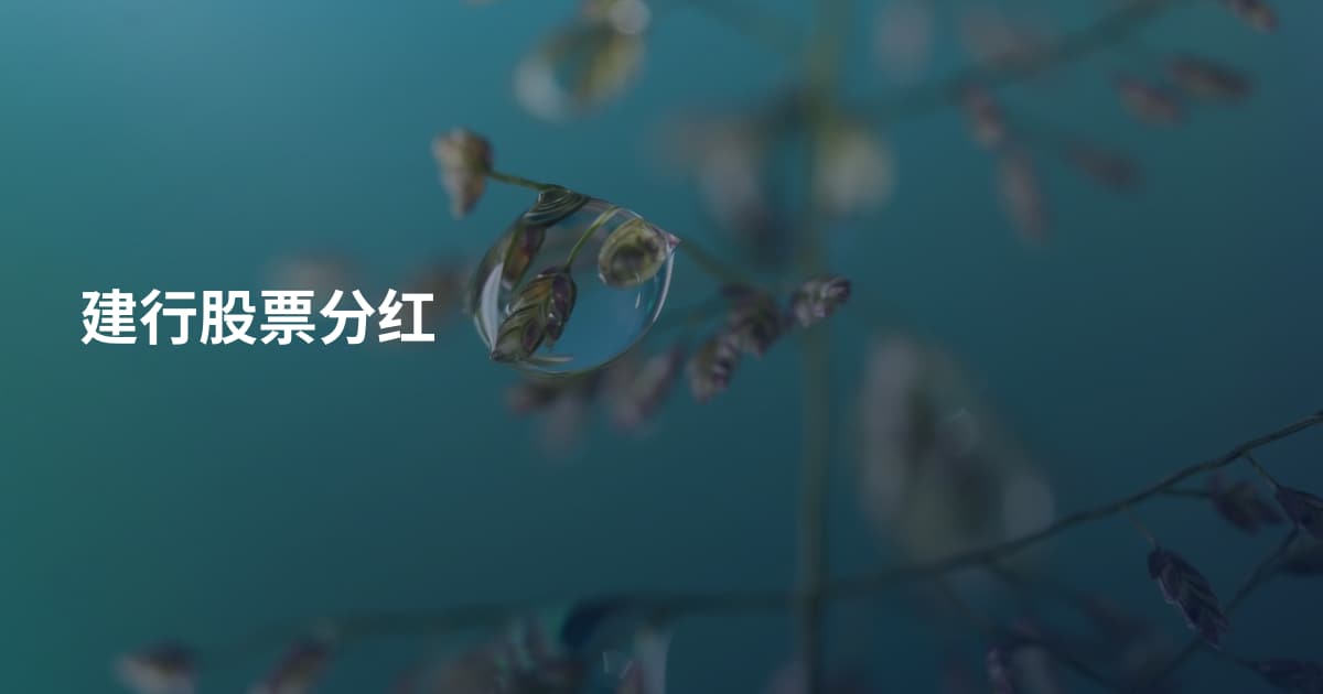 建行股票分红