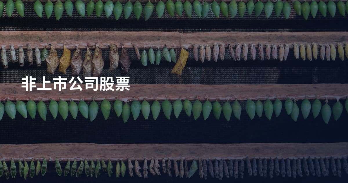 非上市公司股票