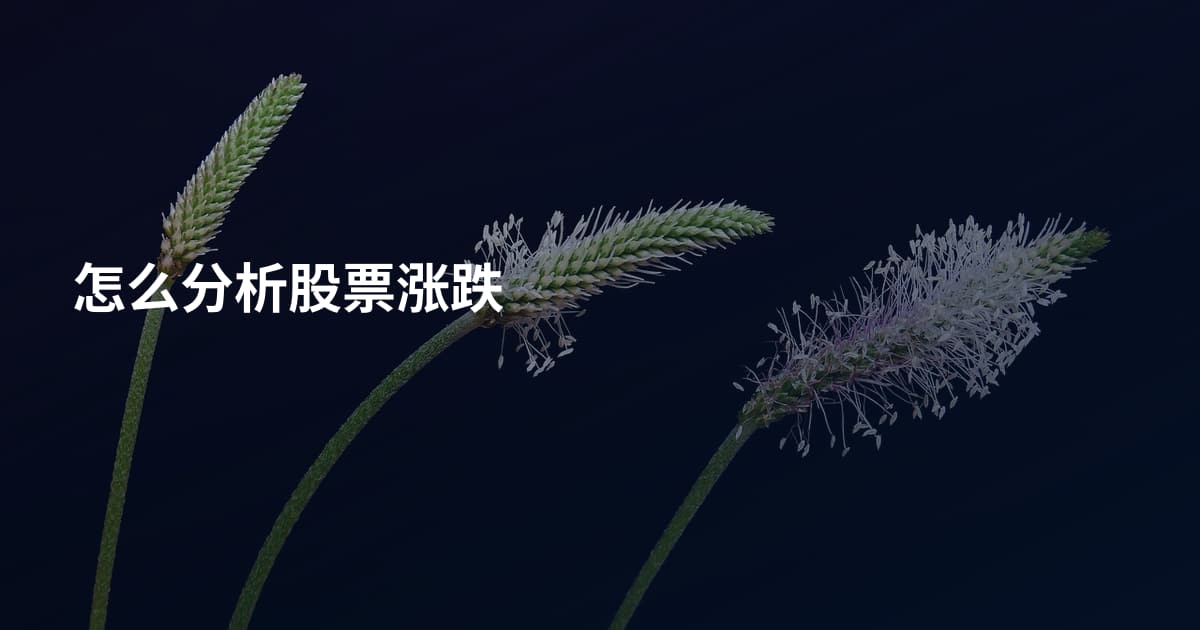 怎么分析股票涨跌