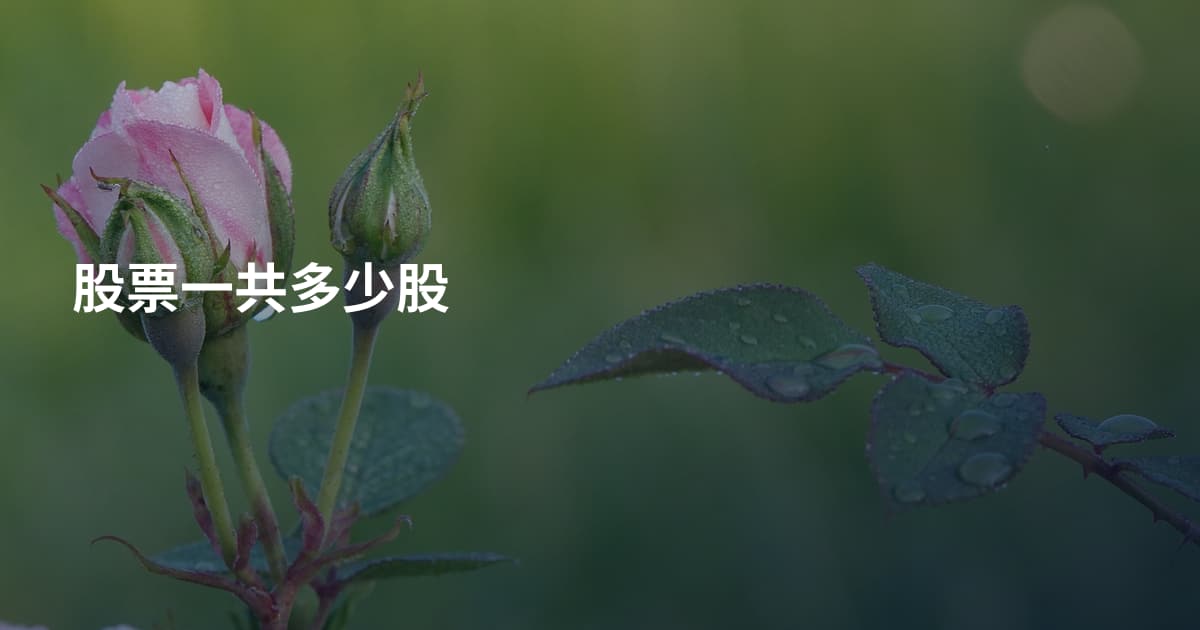 股票一共多少股