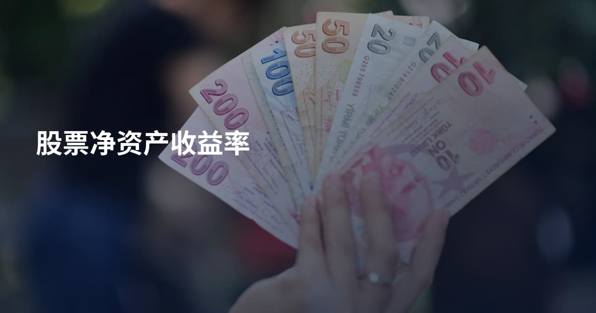 股票净资产收益率