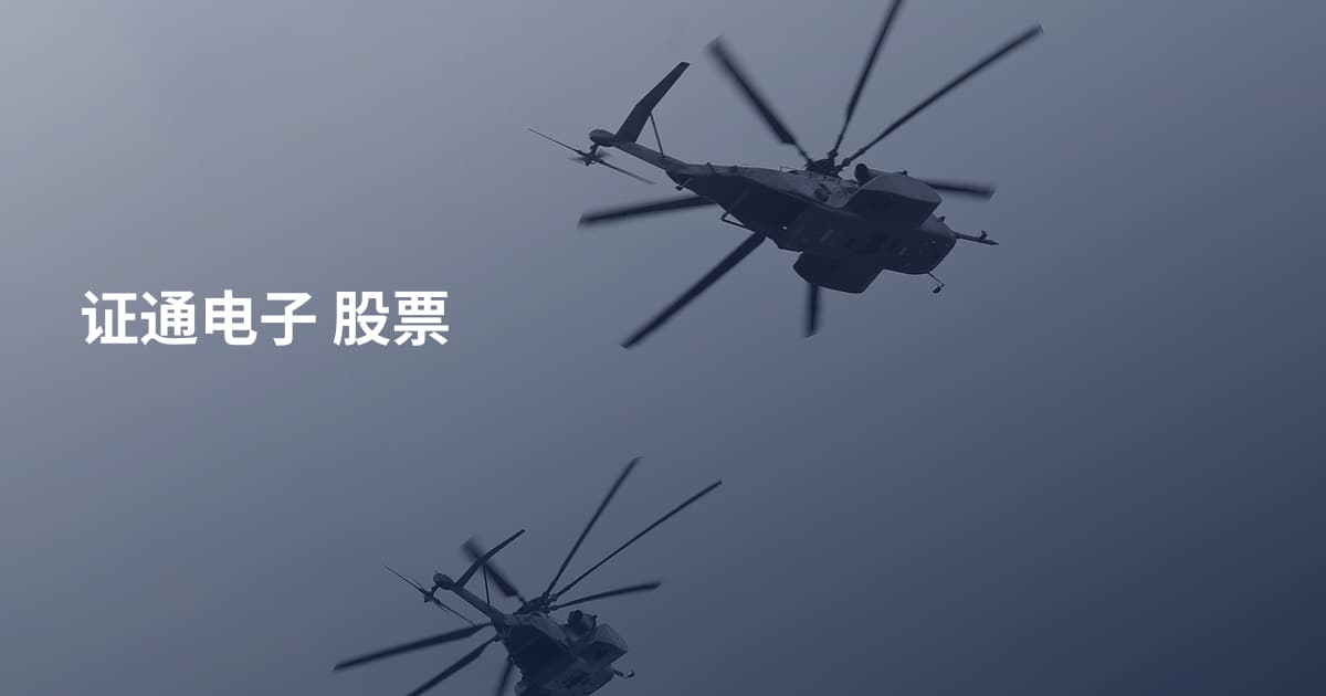 证通电子 股票