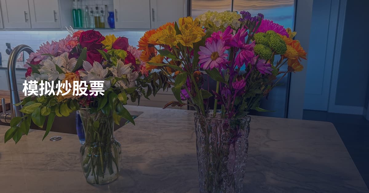 模拟炒股票