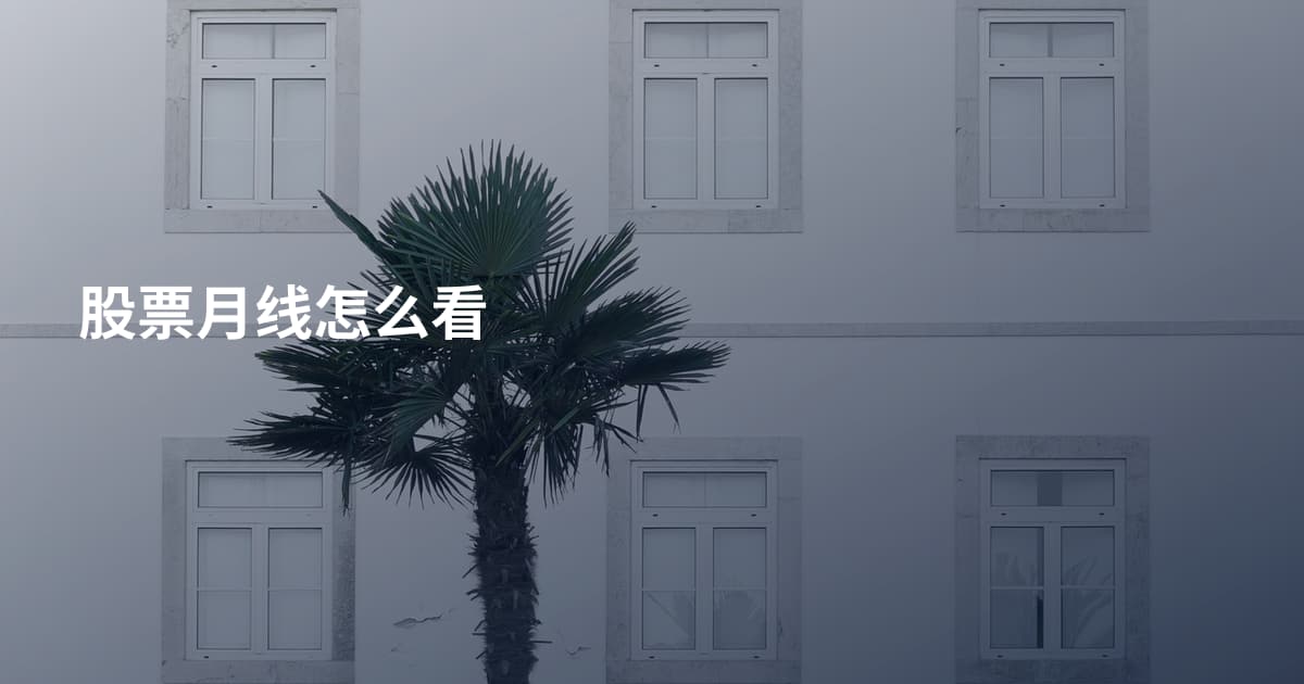 股票月线怎么看