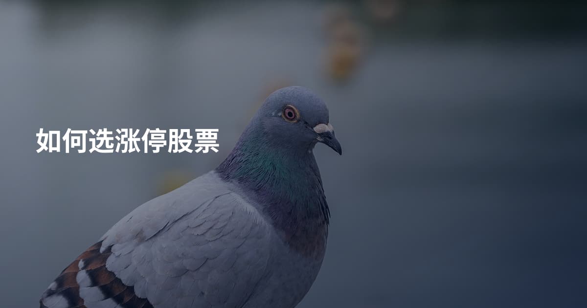 如何选涨停股票