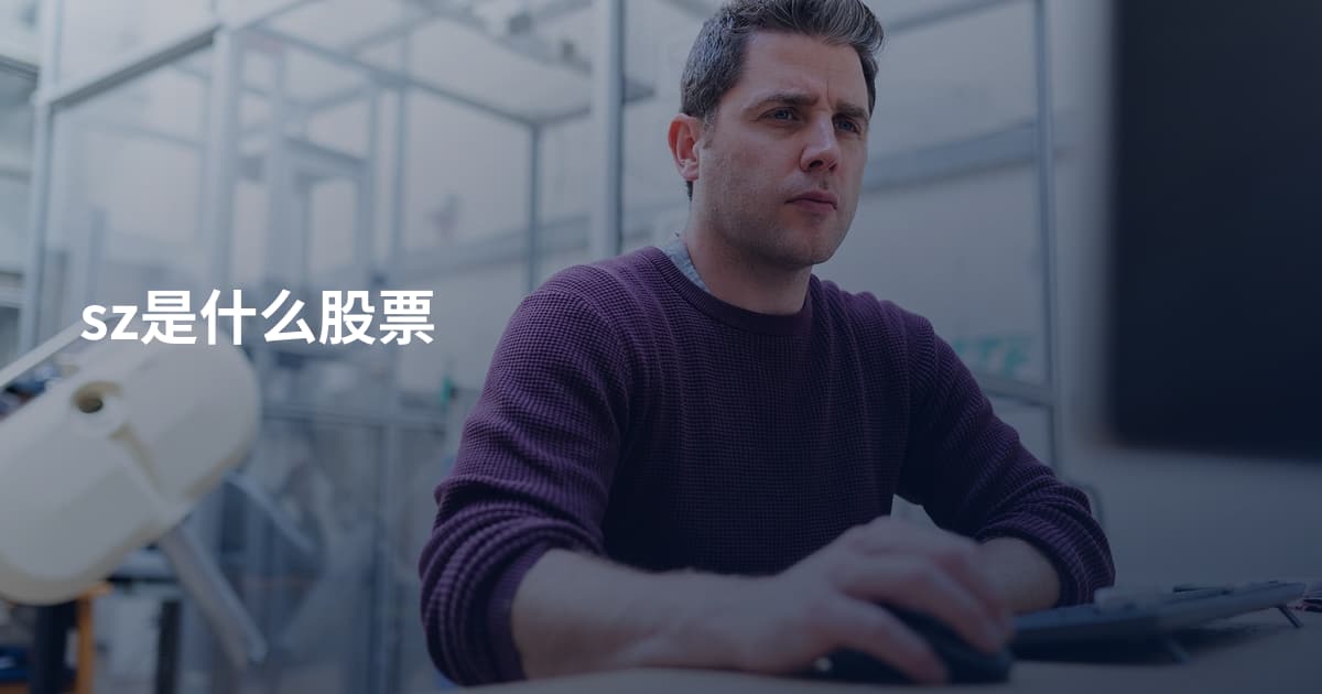 sz是什么股票