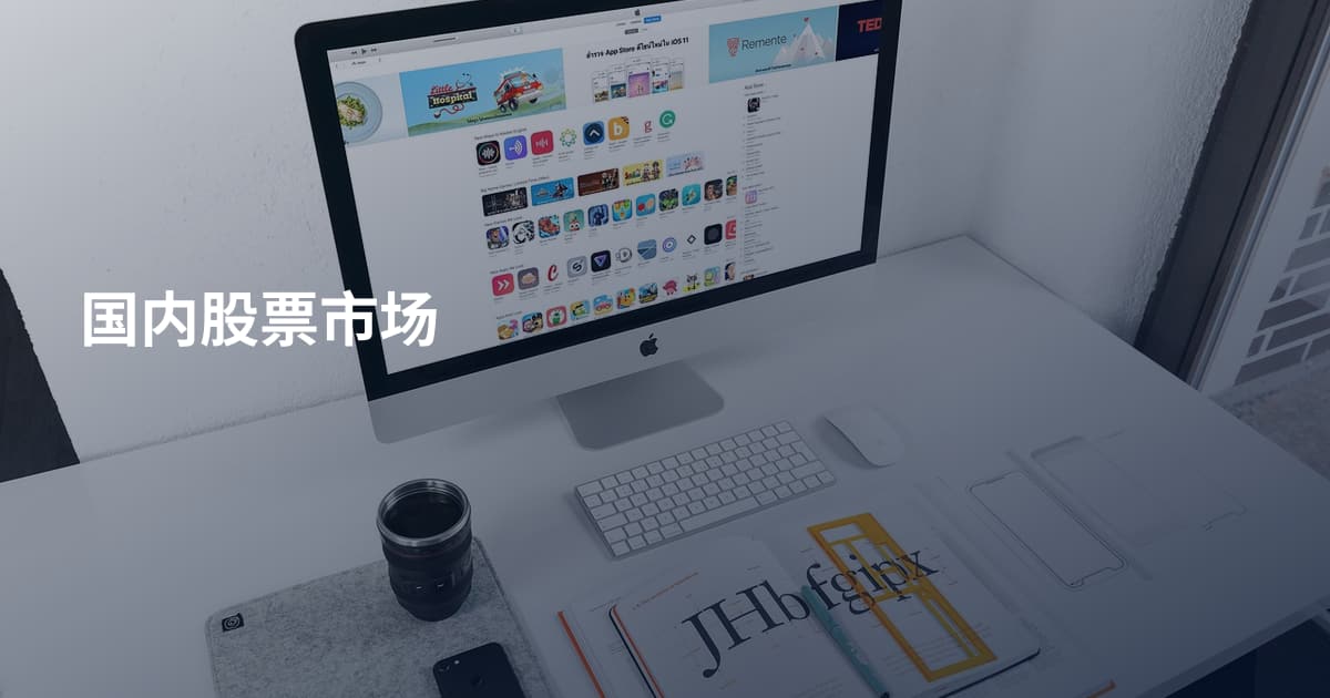 国内股票市场