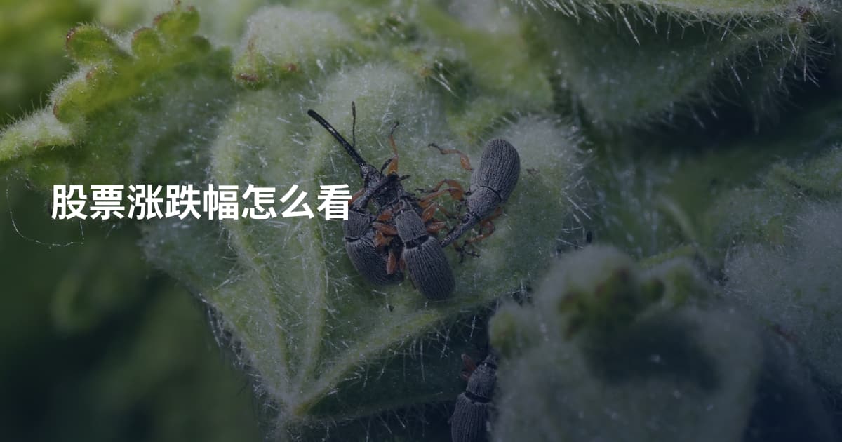 股票涨跌幅怎么看