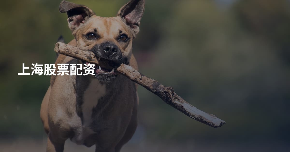 上海股票配资