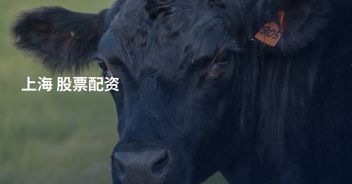 上海 股票配资