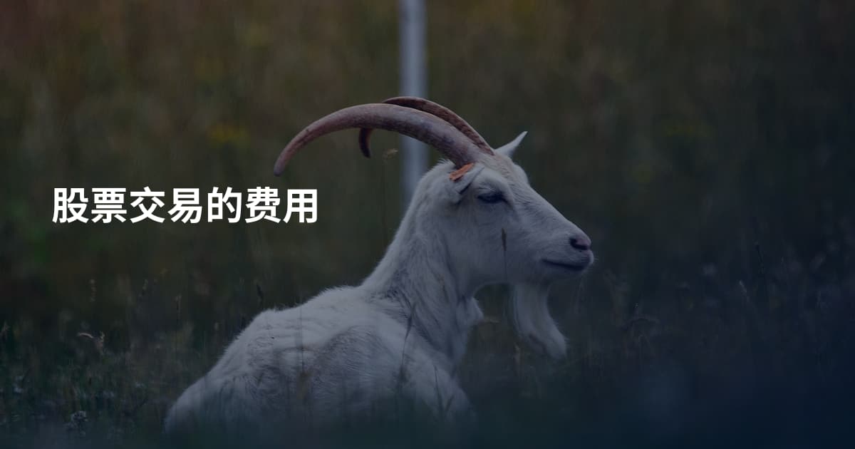 股票交易的费用
