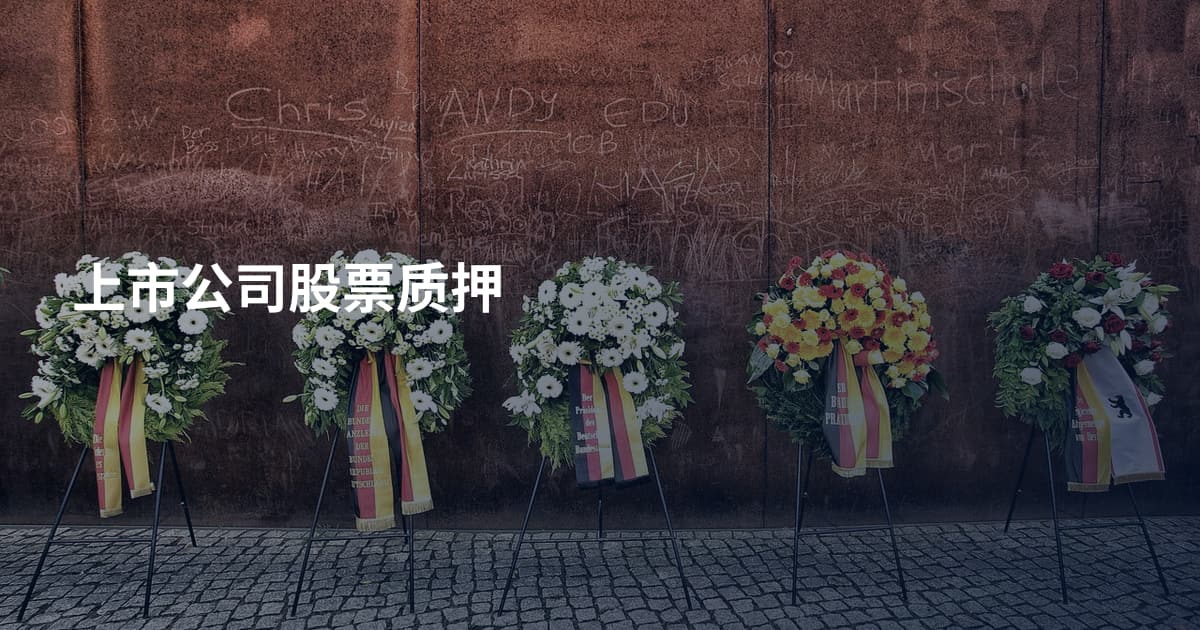 上市公司股票质押