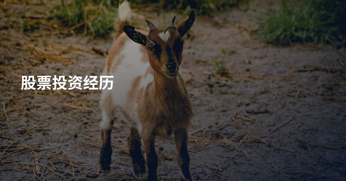 股票投资经历