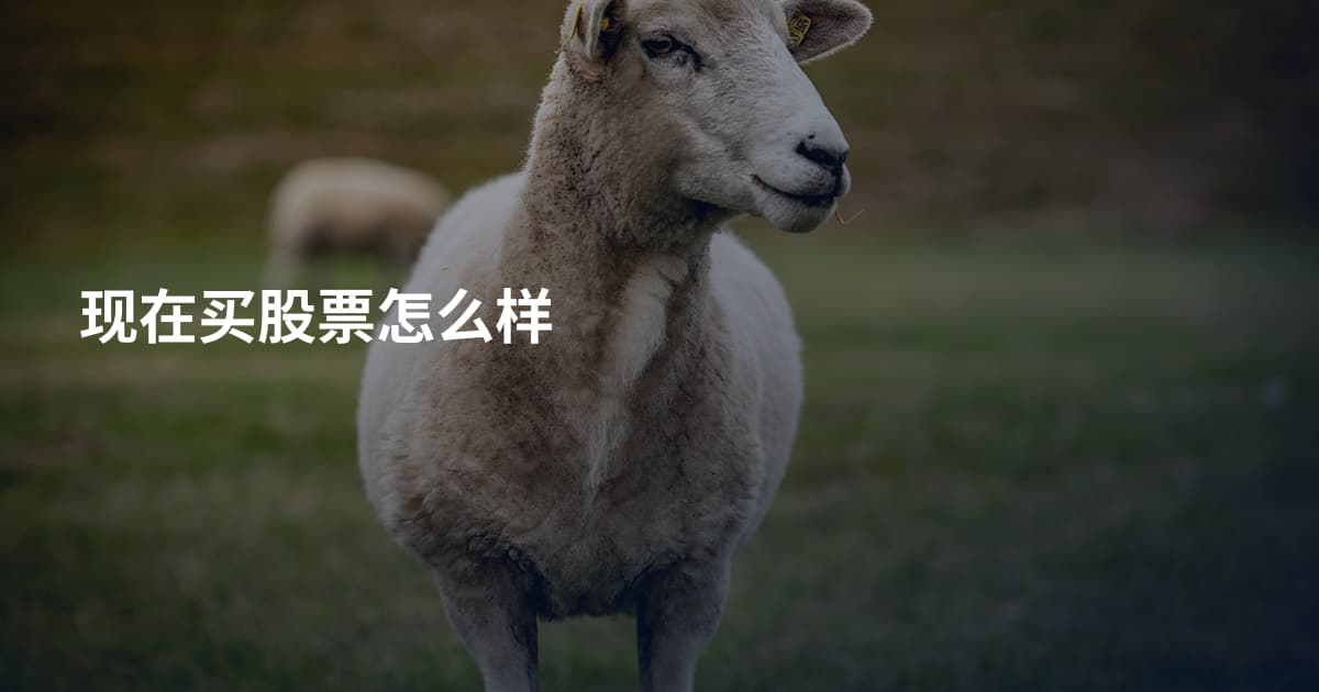 现在买股票怎么样