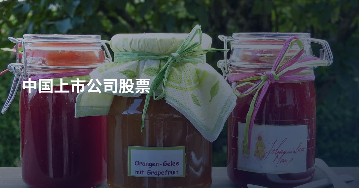 中国上市公司股票