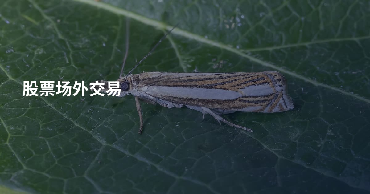 股票场外交易