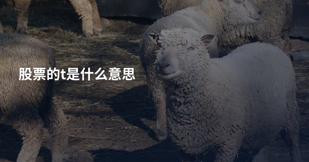 股票的t是什么意思