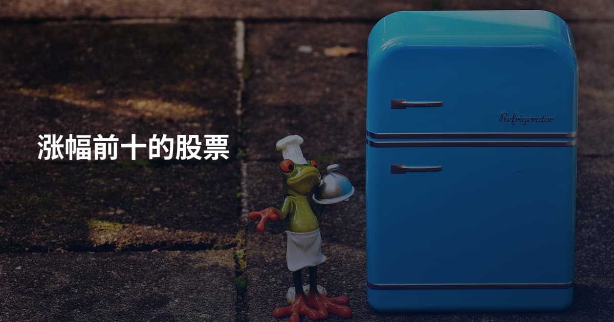 涨幅前十的股票