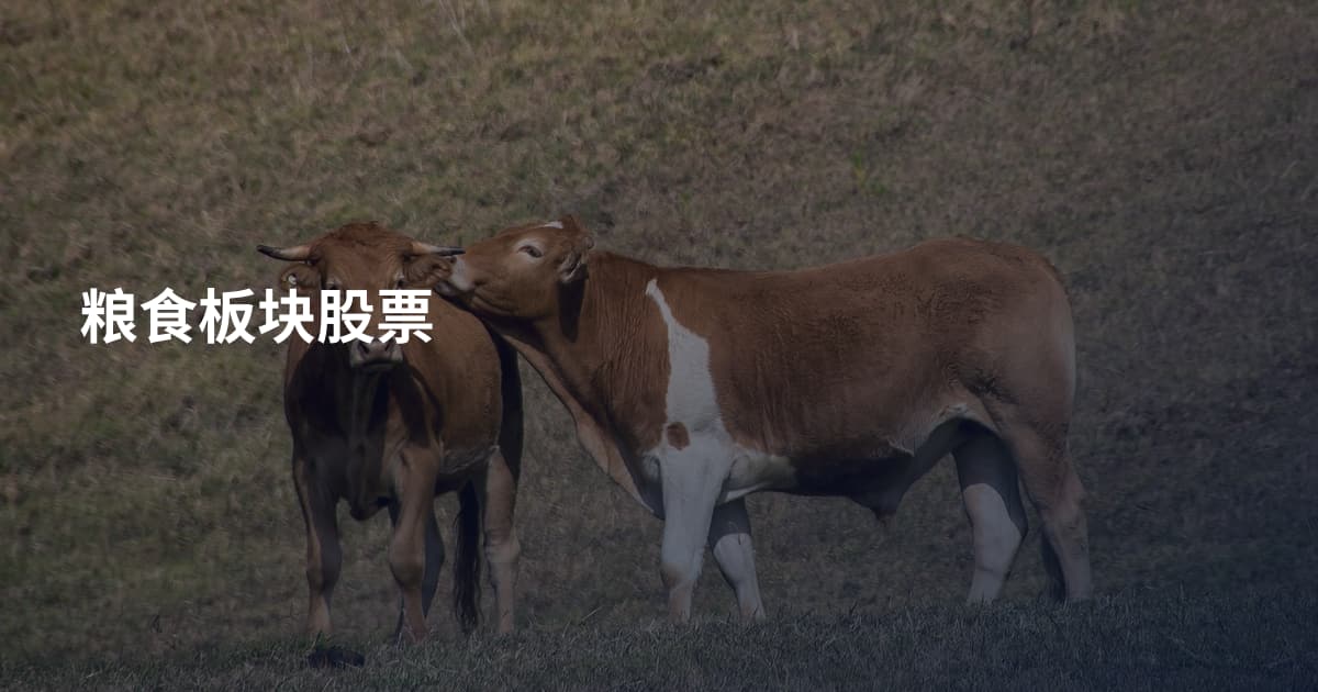 粮食板块股票