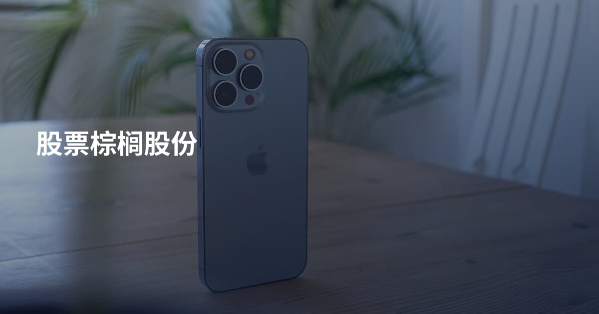 股票棕榈股份