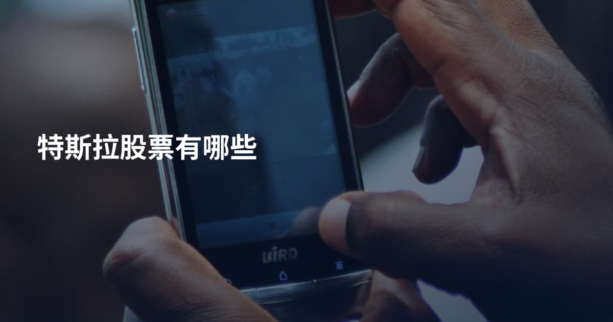特斯拉股票有哪些