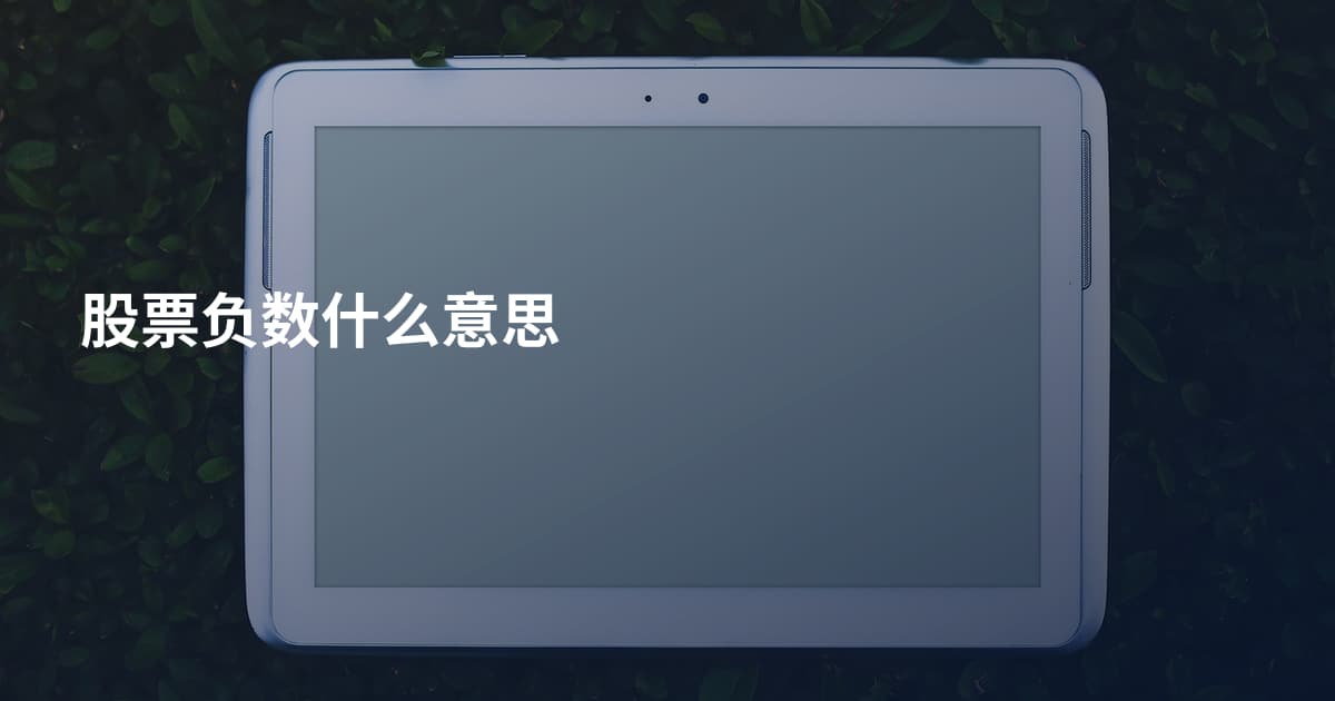 股票负数什么意思