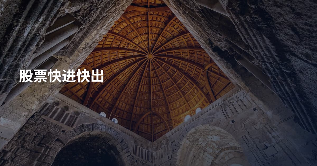 股票快进快出