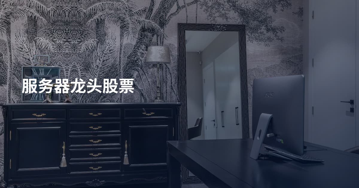 服务器龙头股票