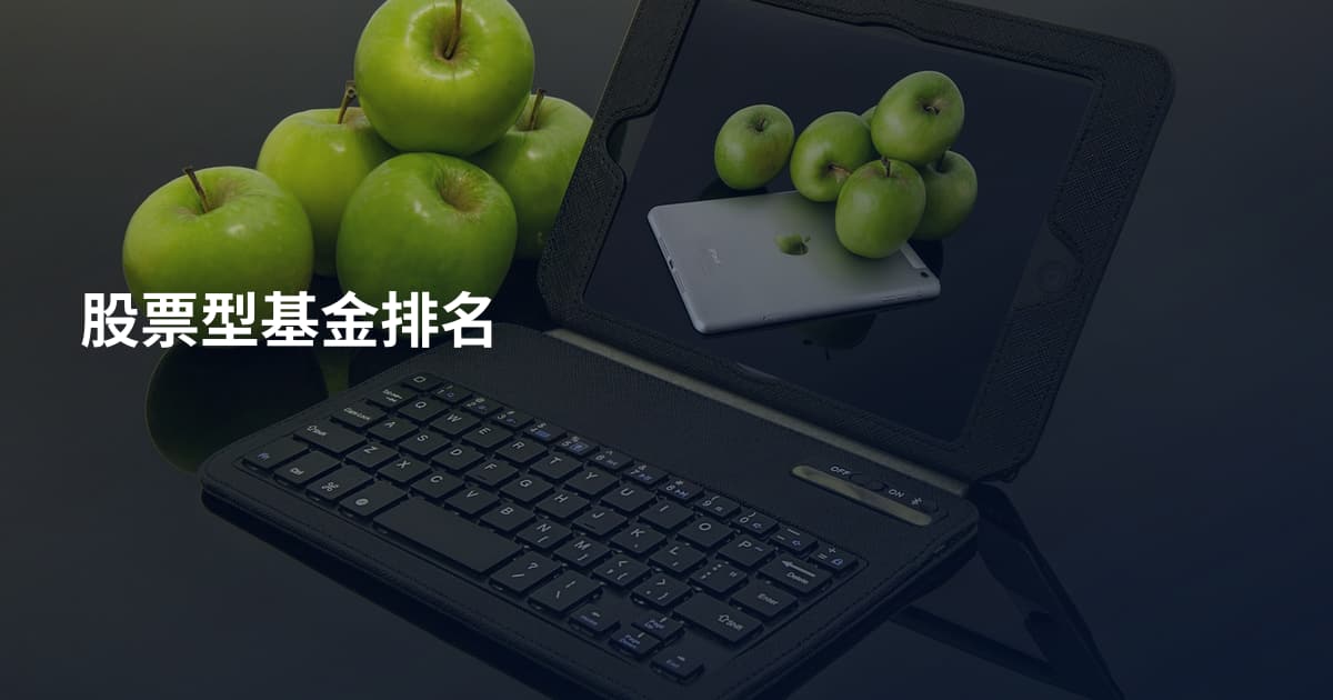 股票型基金排名