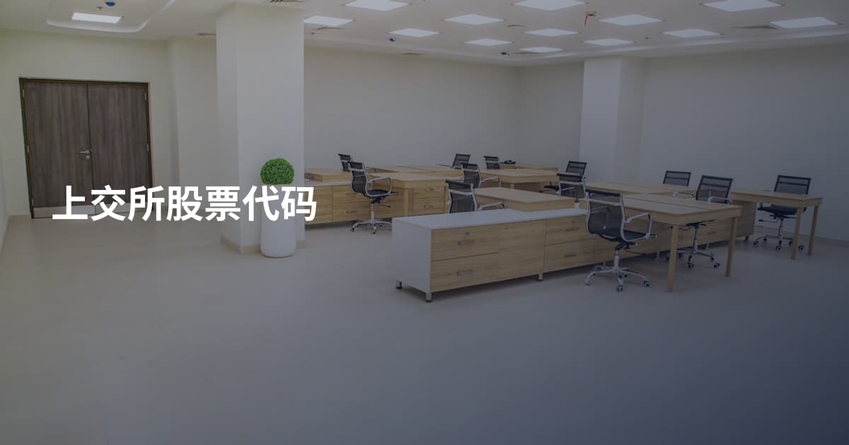 上交所股票代码