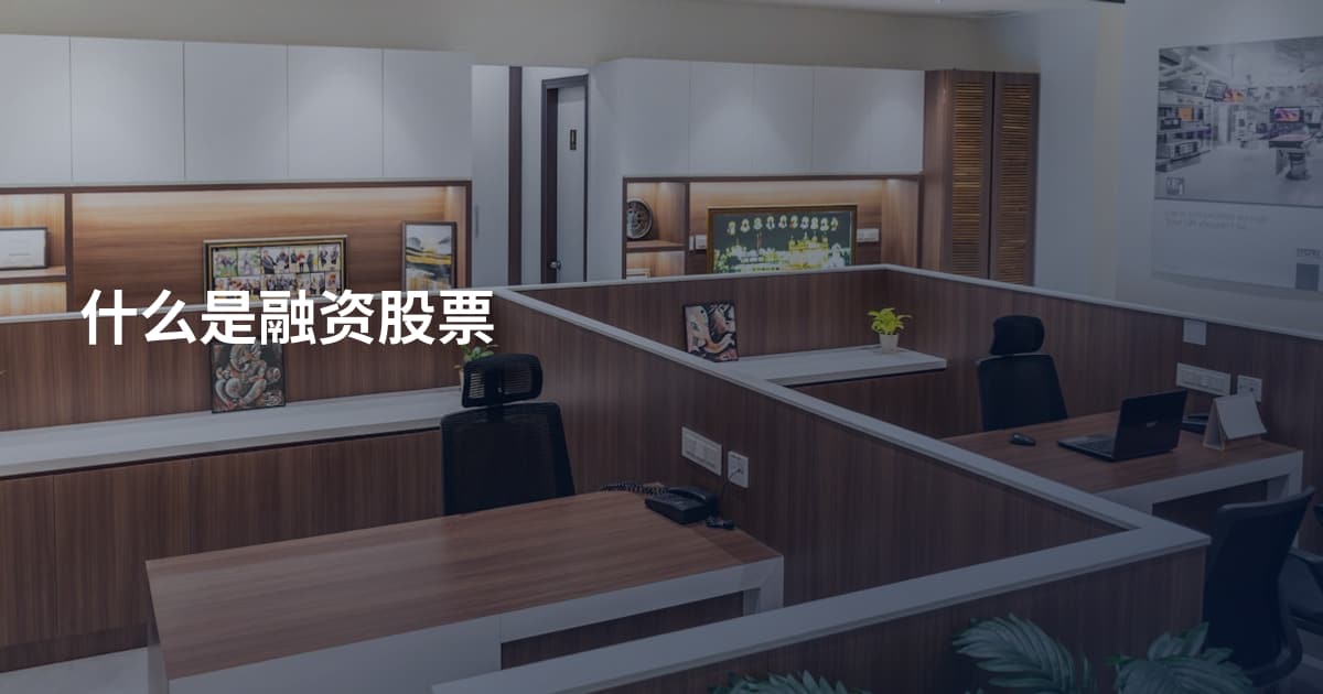 什么是融资股票