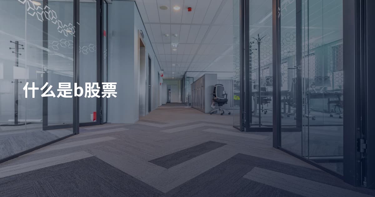什么是b股票