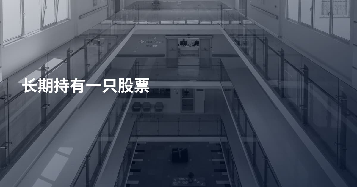 长期持有一只股票