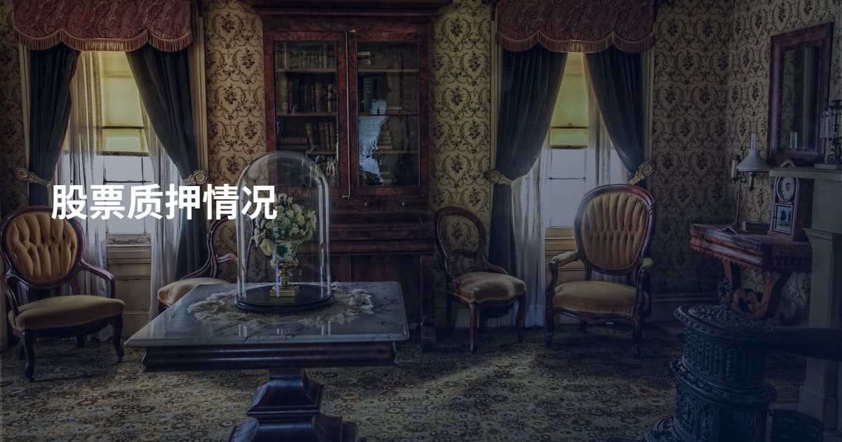 股票质押情况