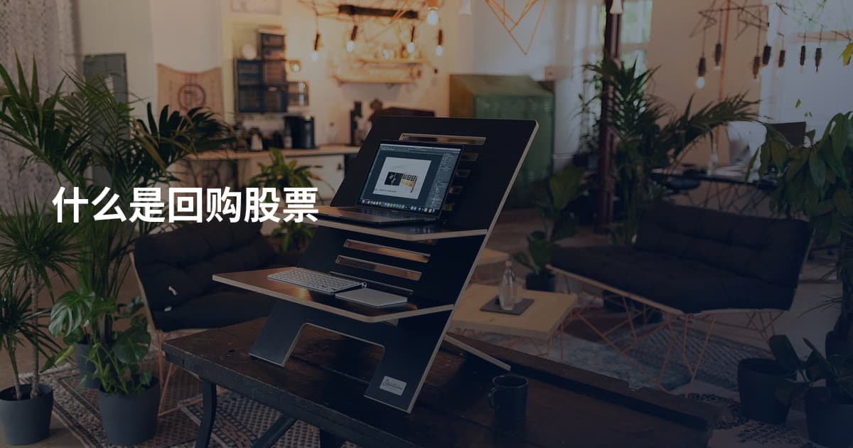 什么是回购股票