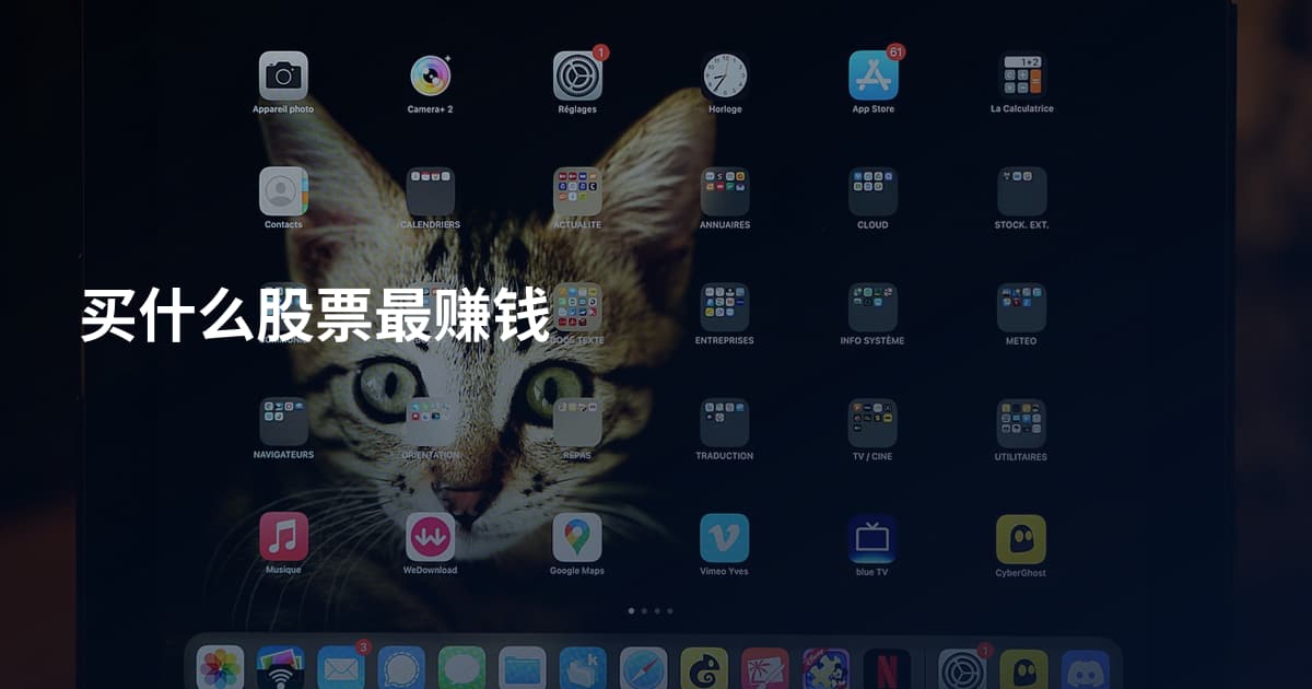 买什么股票最赚钱