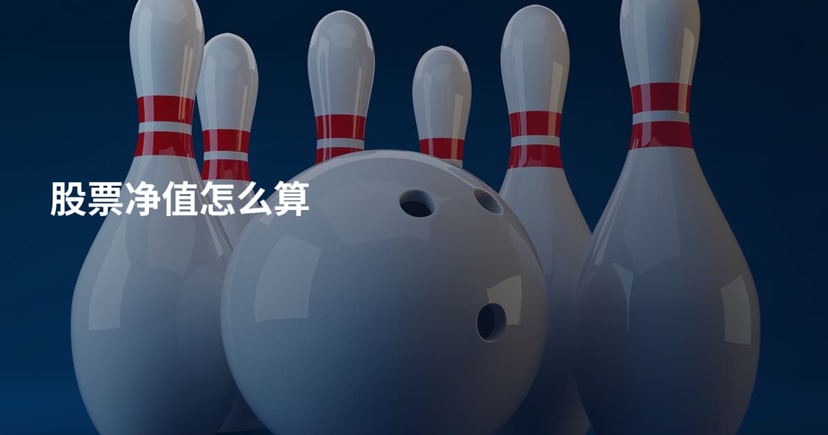 股票净值怎么算