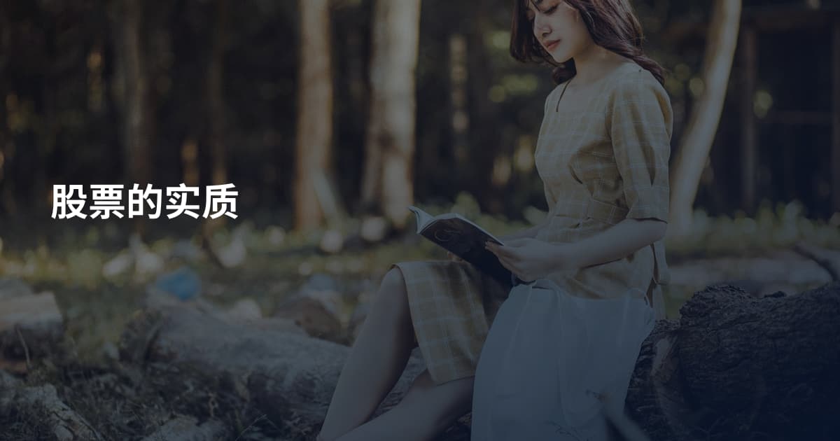 股票的实质
