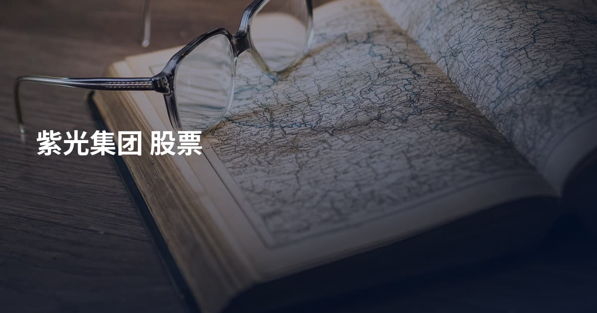 紫光集团 股票