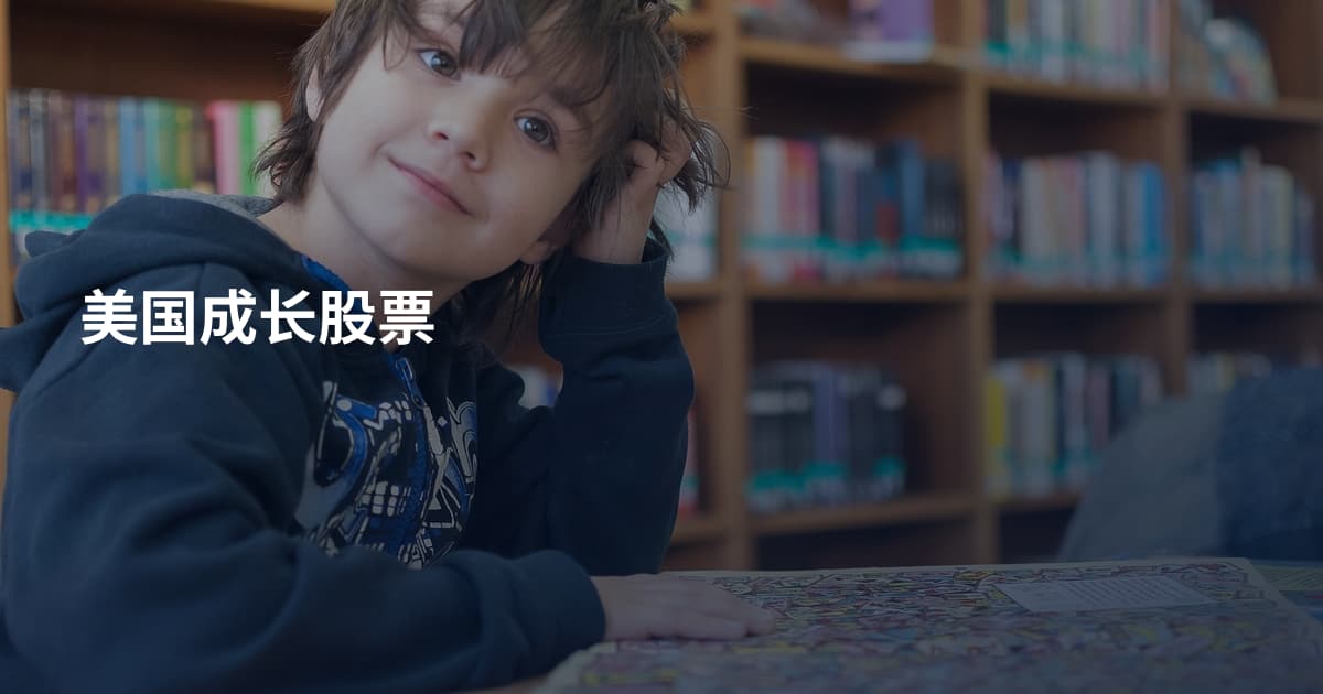 美国成长股票