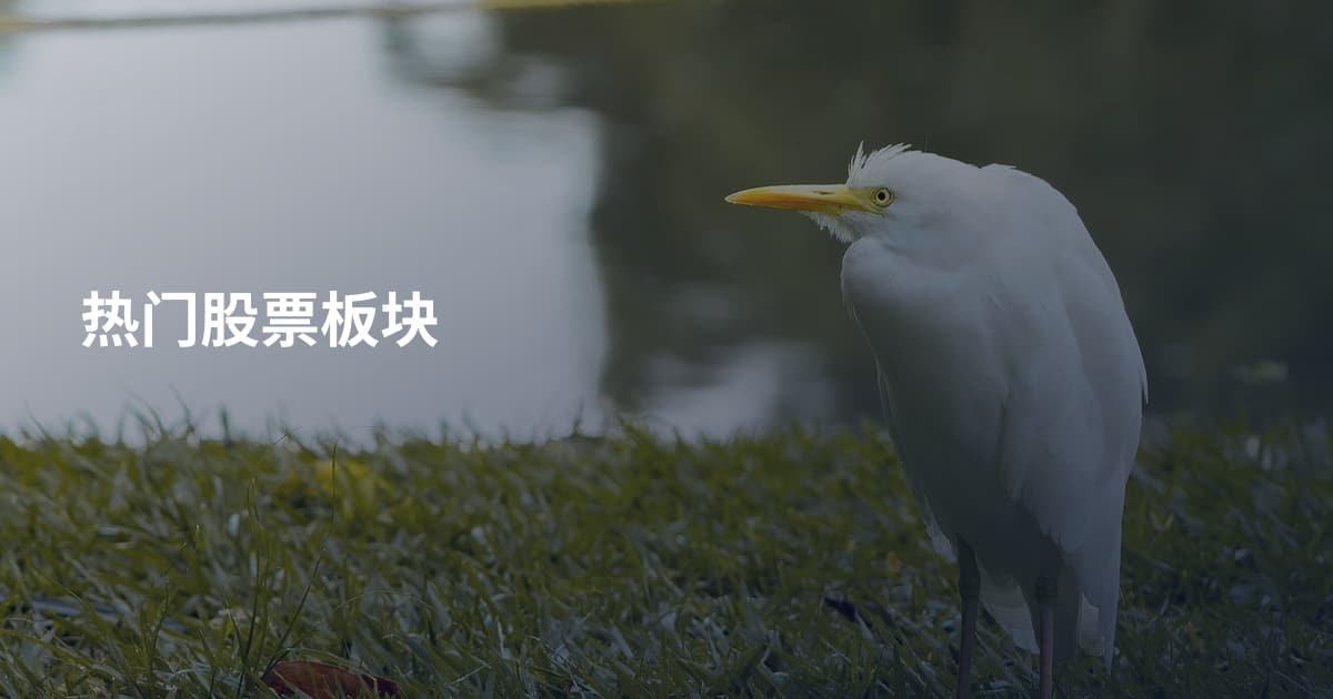 热门股票板块