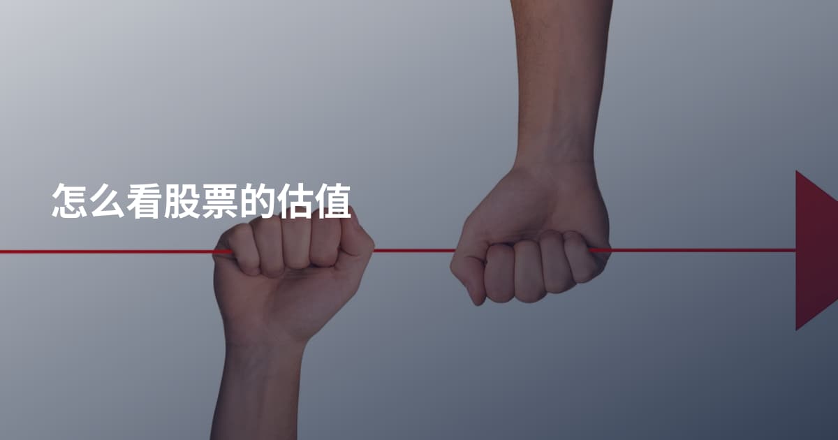 怎么看股票的估值