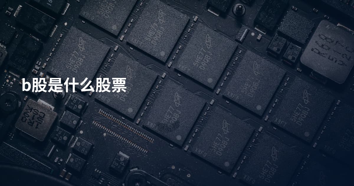 b股是什么股票